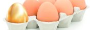 eggs in a box on white background