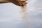 Premixes_page