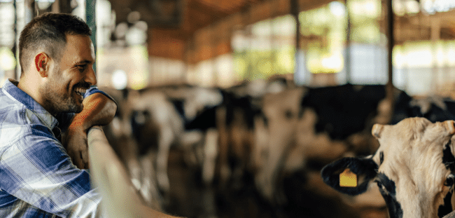 Demedication in poultry production: are we doing enough?