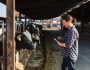 FR Farmer checking dairy farm mobile app-GettyImages-944690004 (1) (1)